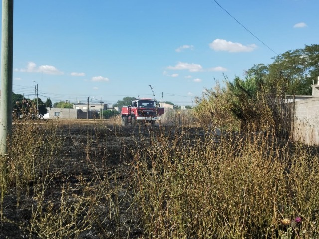 Vecinos apagaron incendio antes de la llegada de los Bomberos